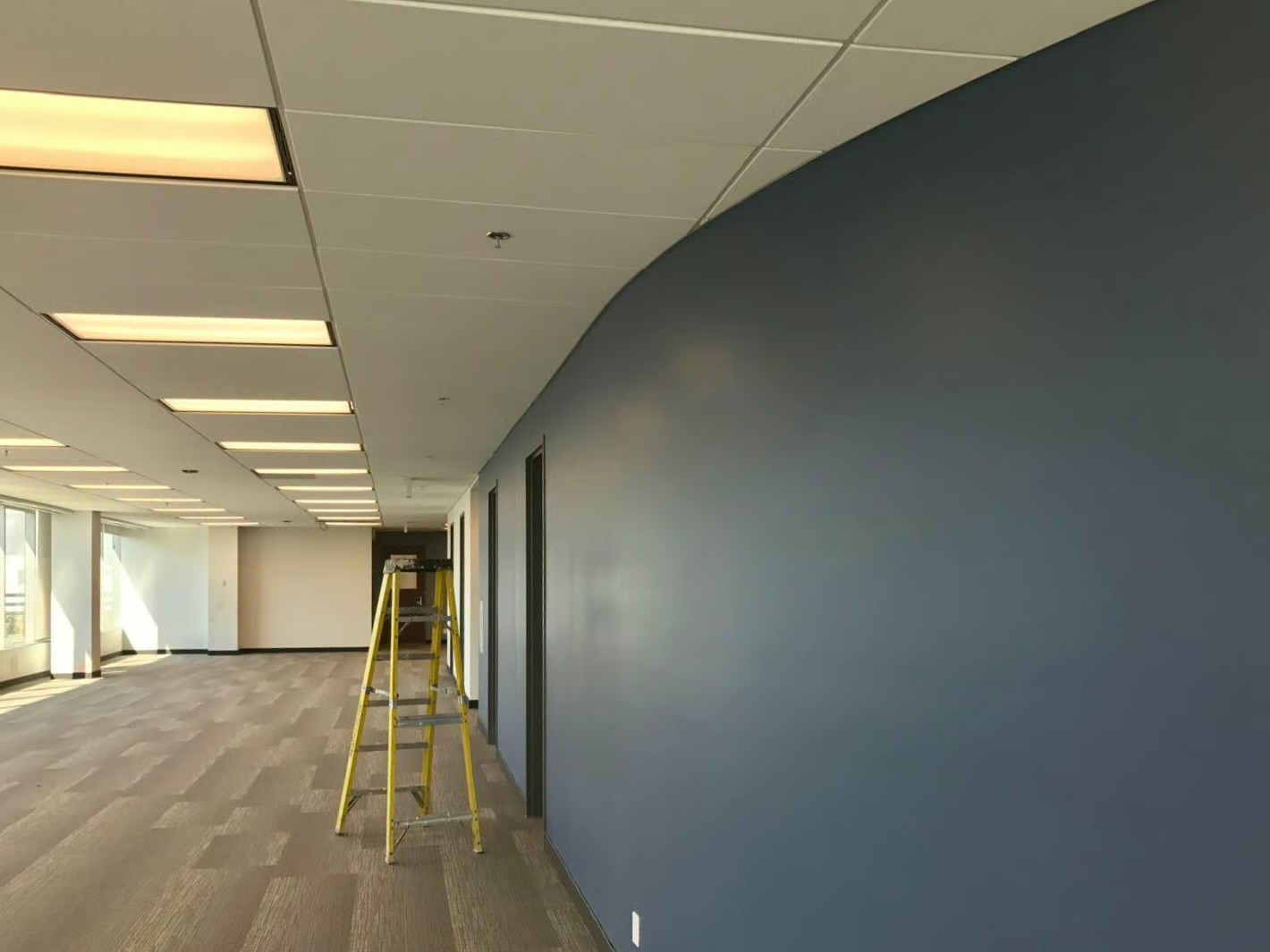 Blue office accent wall