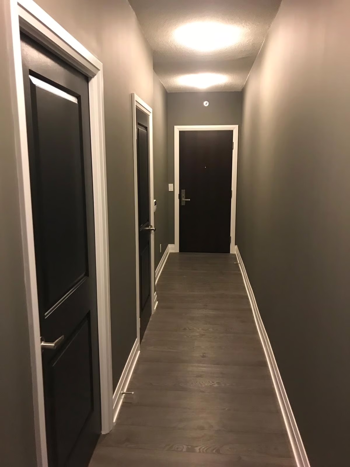 Hallway and door trim in deep modern tones